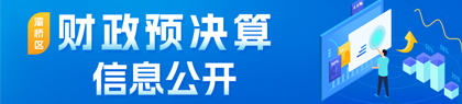 財政預決算信息公開